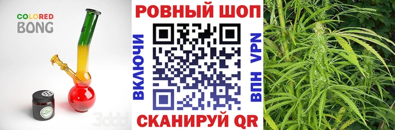 Где продают наркотики Моршанск Кокаин  Марихуана  МЕФ  АМФ  Псилоцибиновые грибы  ГАШ 