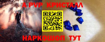 стаф Брянск