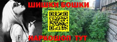 стаф Брянск