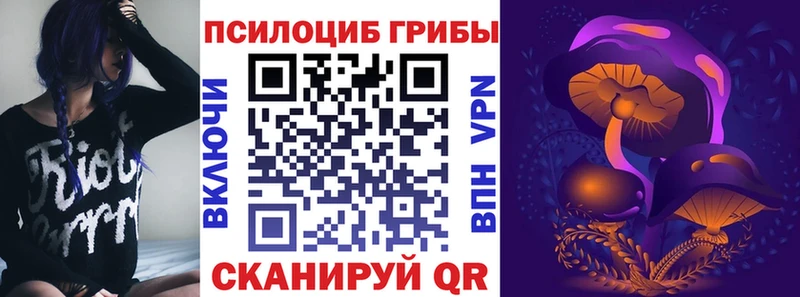 Галлюциногенные грибы ЛСД  Моршанск 
