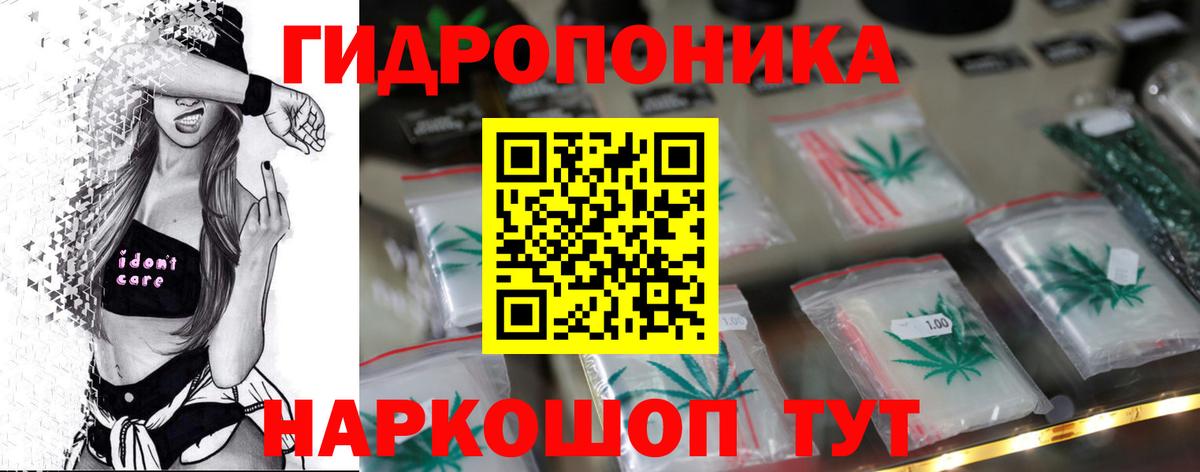 Бошки Шишки план Моршанск